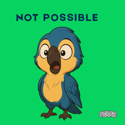 Wtf GIF by Feraz NFT