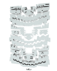 Christmas Tree Design Sticker by Miron