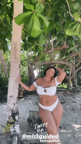 vilecoyote giphyupload GIF