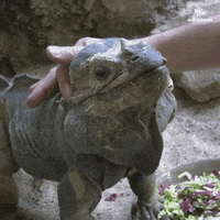 Chill Cuddle Me GIF by Zoo Berlin