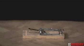 GIF by FirstAndMonday