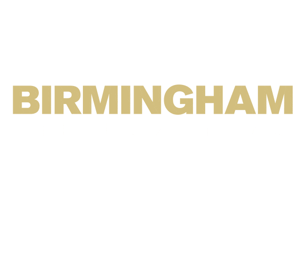 Heart Heroes Sticker by University of Birmingham