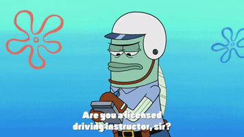 season 9 lost in bikini bottom GIF by SpongeBob SquarePants