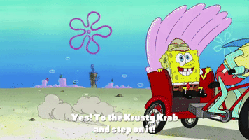 season 9 lost in bikini bottom GIF by SpongeBob SquarePants