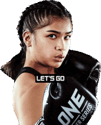Martial Arts Fighter Sticker