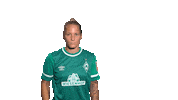 Werderfrauen Rechts Sticker by SV Werder Bremen