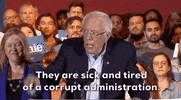 Bernie Sanders GIF