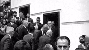 Turkey Rte GIF