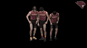 Cuc GIF by CUCougars