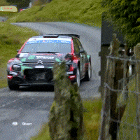 Erc GIF by FIA European Rally Championship