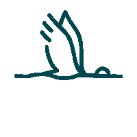 discovermonroewestmonroe travel bird flying wings Sticker