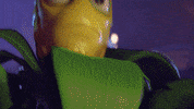 plantsvszombies pvz plants vs zombies pvzbfn neighborville GIF