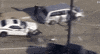 minivan GIF by Rant