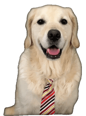 Dog Work Sticker by Rigatoni