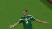 selecciÃ³n mexicana GIF by MiSelecciónMX
