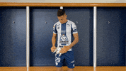 Liga Mx King GIF by Club Pachuca Tuzos