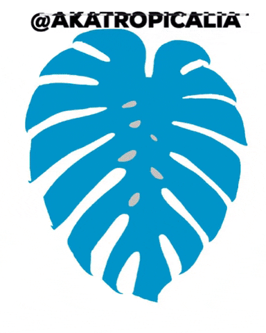 akatropicalia giphygifmaker akatropicalia GIF