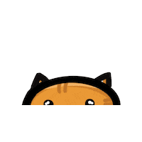 Hungry Cat Sticker