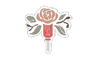 sorry girls Sticker