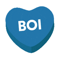 Boi Boise Sticker by Alaska Airlines