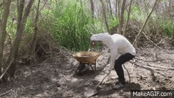 hole GIF