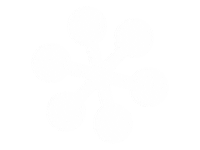 Snow Snowflake Sticker by WinterKids