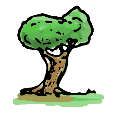 Vida Verde Sticker by Loto Honduras