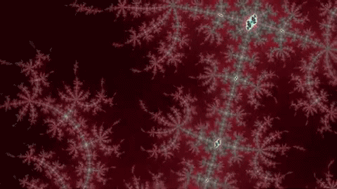 Benoit Mandelbrot Lsd GIF by xponentialdesign