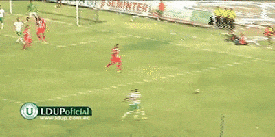 Capira GIF by Liga Deportiva Universitaria de Portoviejo