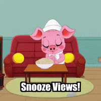 Pigassocharacter GIF by The Pigasso