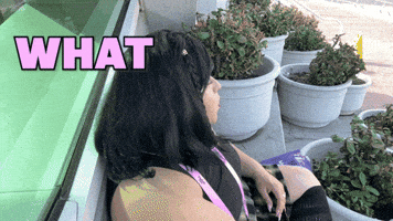 What Did I Do GIF