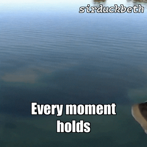 Growth Love GIF by sirduckbeth