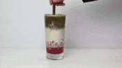 Tea Time Japan GIF by Hojicha Co.