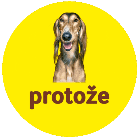 Saluki Sticker by Super zoo