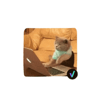 thedigitalhouse working coding crisis programing Sticker