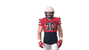 Wheeler Sticker by Richmond Spiders