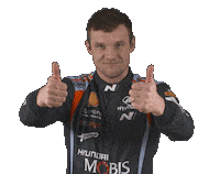 Hyundai Jarveoja Sticker by FIA World Rally Championship