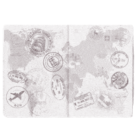 Cruise Passport Sticker by HomeTeamNS