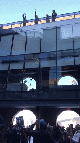 GIF by Dumbo, Brooklyn