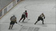 goal must watch GIF by Ottawa 67's