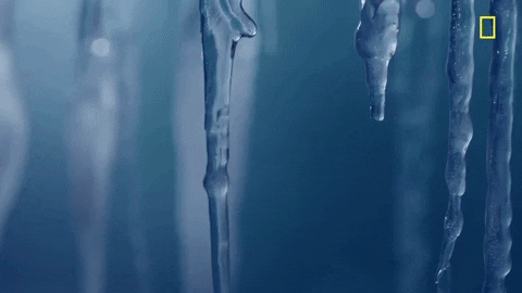 nat geo ice GIF by National Geographic Channel
