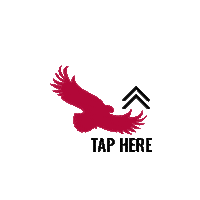 Thwnd Sticker by Saint Josephs University