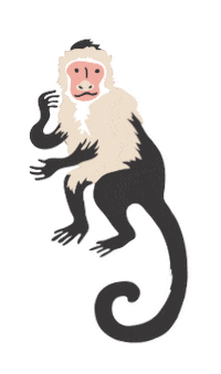 Ross Geller Friends Sticker by Warner Channel