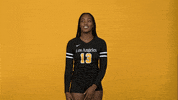 Volleyball GIF by Cal State LA Golden Eagles