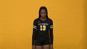 Volleyball GIF by Cal State LA Golden Eagles