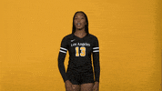 Volleyball GIF by Cal State LA Golden Eagles