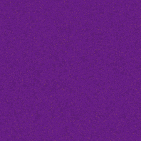 wingsart fight angry women scream GIF