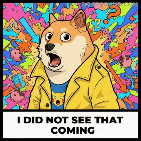 Shiba Inu What GIF by Doge Pound