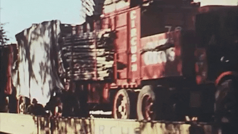 Art Video GIF by jorgemariozuleta