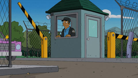 the simpsons homer GIF by Fox TV